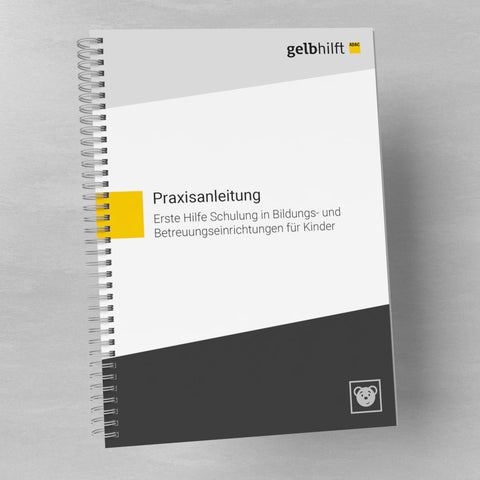 Leitfaden für Erste Hilfe Kurse in Bildungs- und Betreuungseinrichtungen nach DGUV